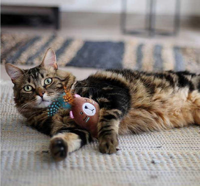 jpg_1500x1500_60270649