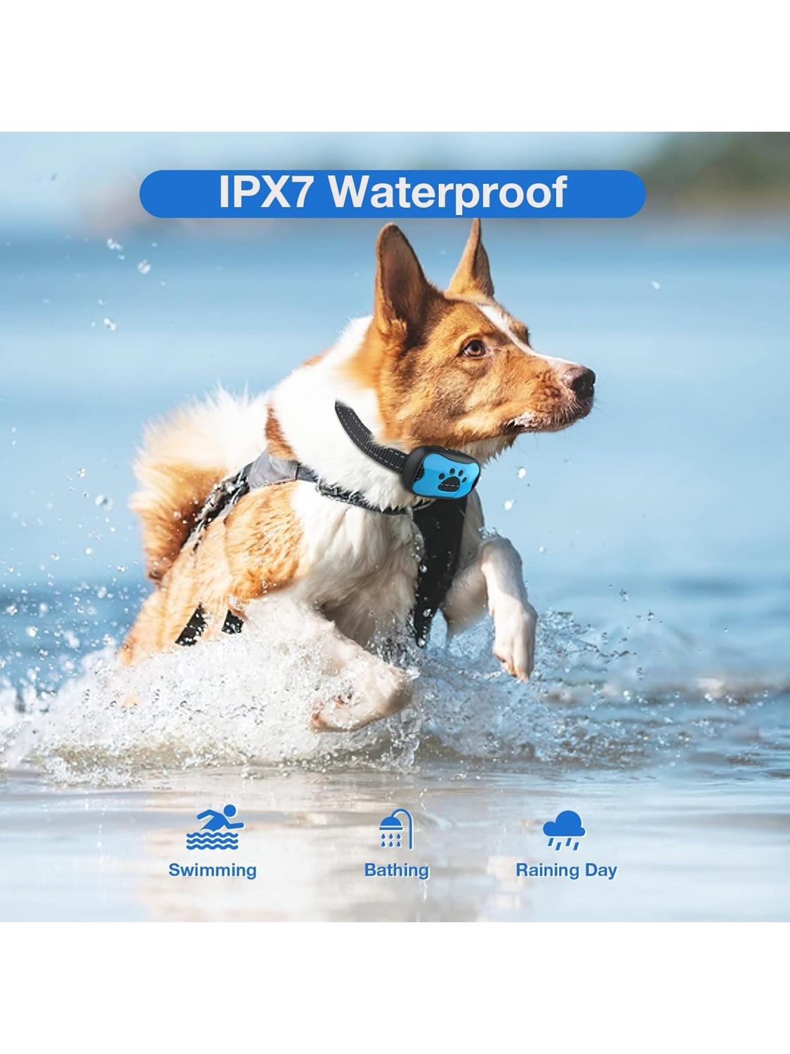 Collar de entrenamiento anti ladrido con vibracion