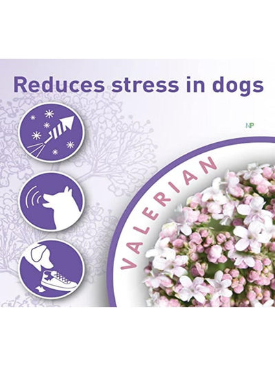 jpg_1500x1500_61949066