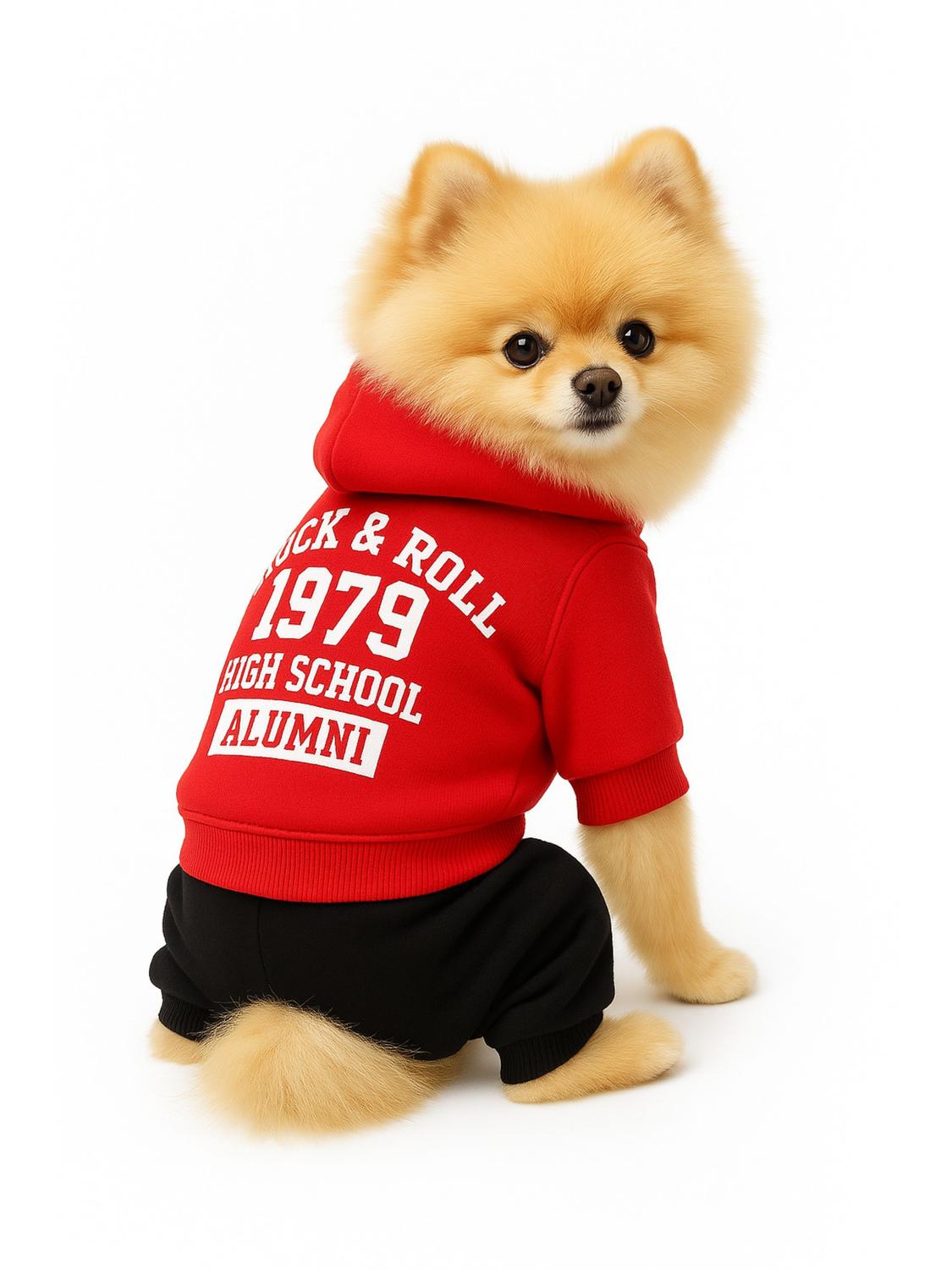 jpg_1500x1500_63533846