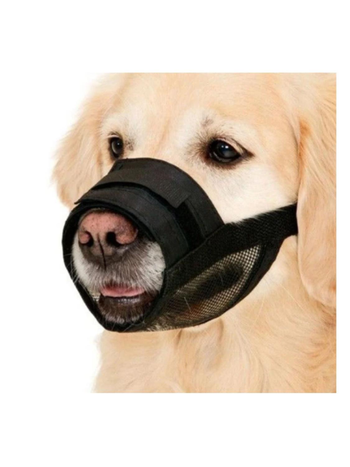 jpg_1500x1500_66903605