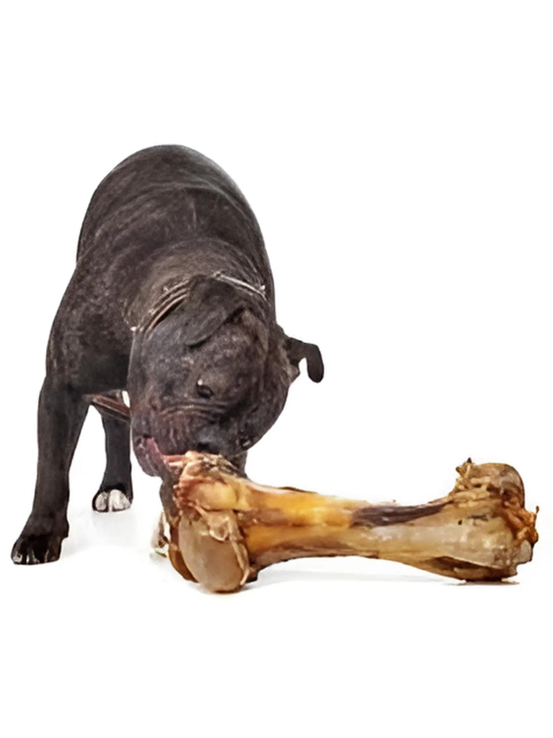 jpg_1500x1500_61012209