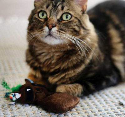 jpg_1500x1500_60270642