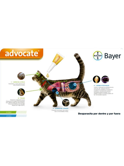 jpg_1500x1500_62038678