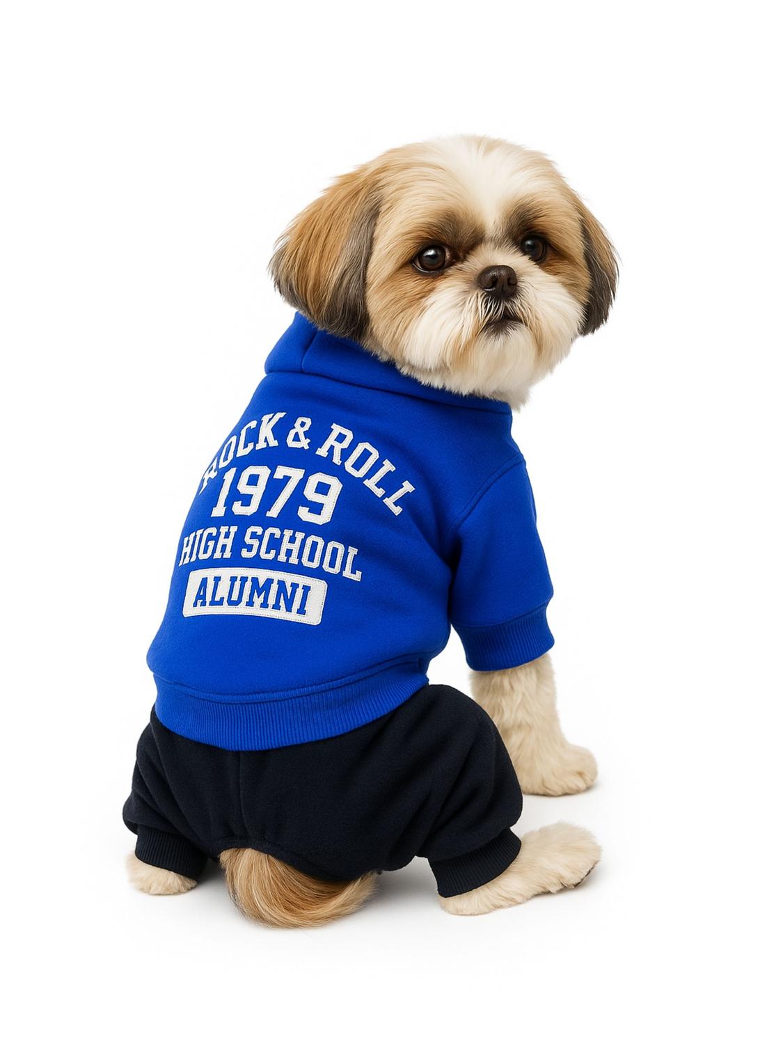 jpg_1500x1500_63533849