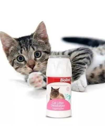 jpg_1500x1500_62030270