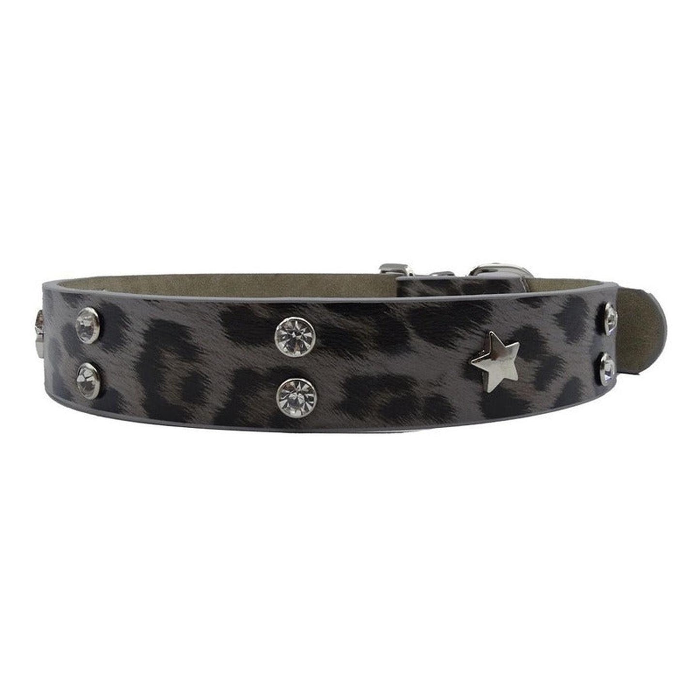 Collar Para Perro Animal Print Con Tachas Brillante 52x2.5