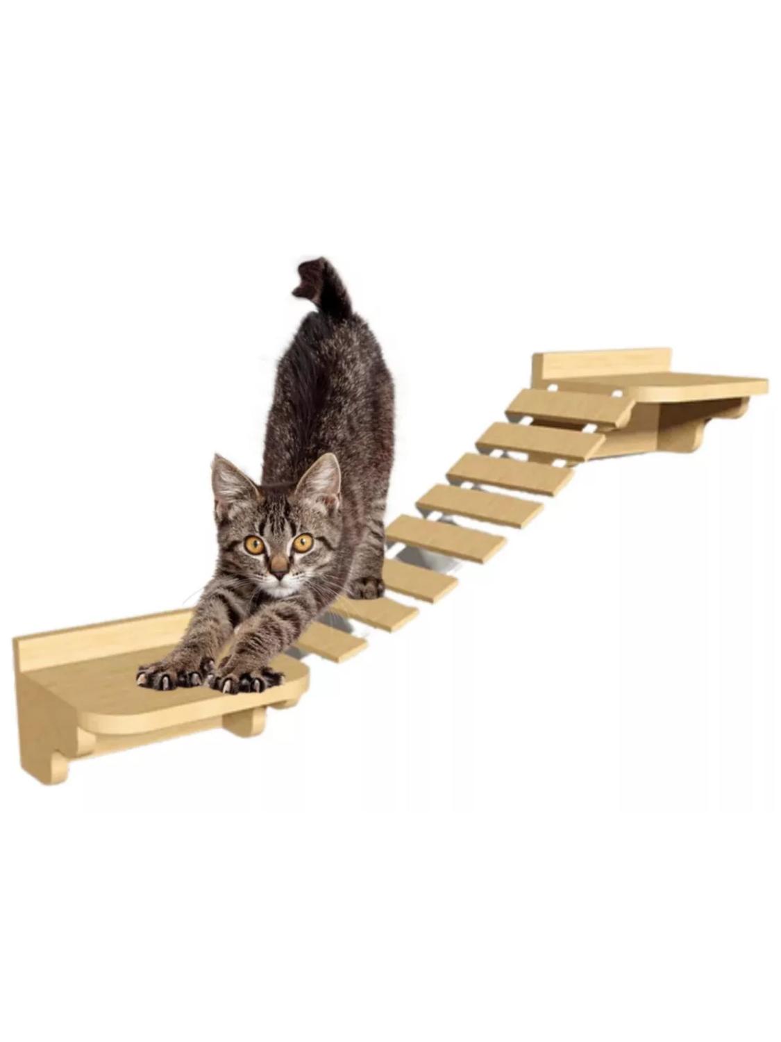 jpg_1500x1500_60935394