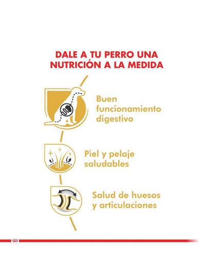 jpg_1500x1500_62018132