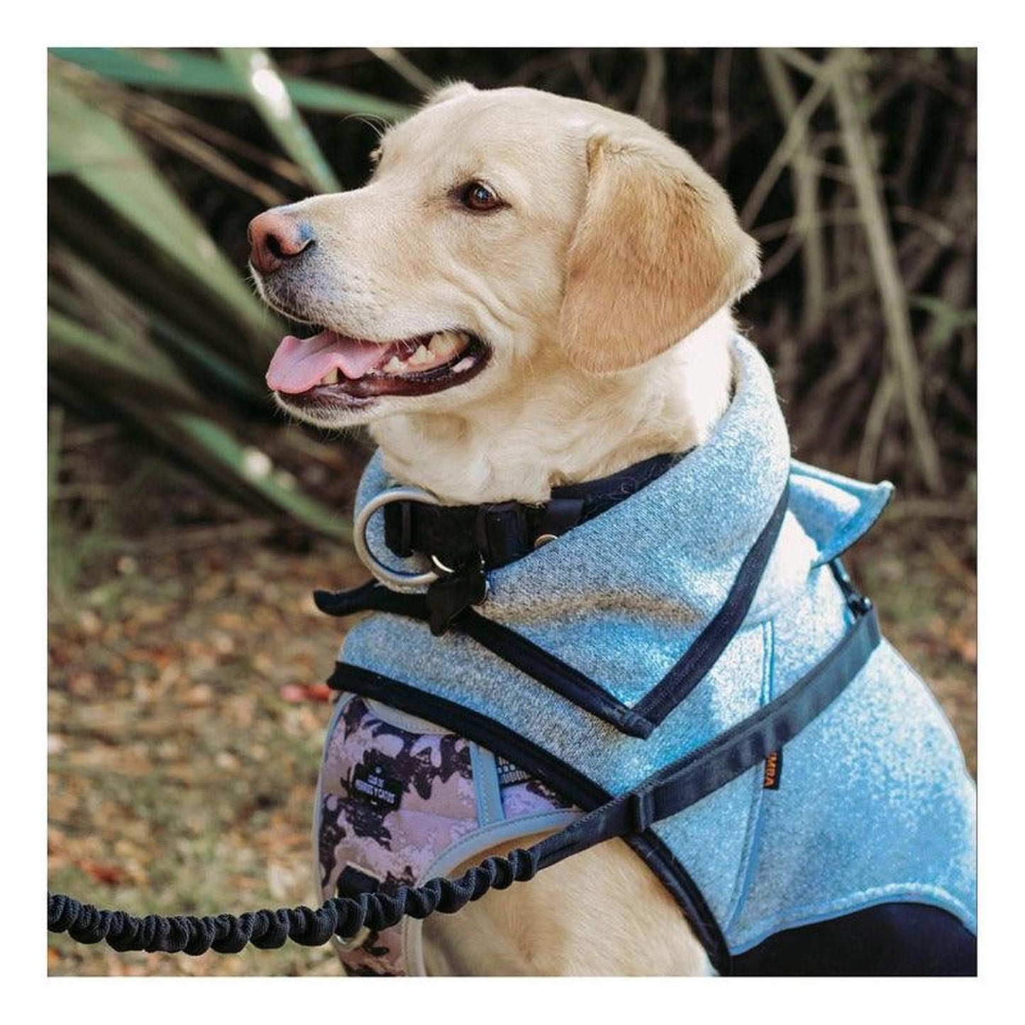 jpg_1500x1500_60276265