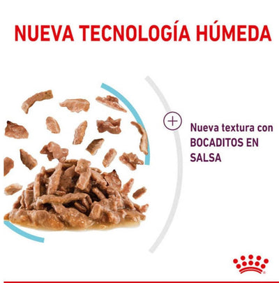 jpg_1500x1500_60267986