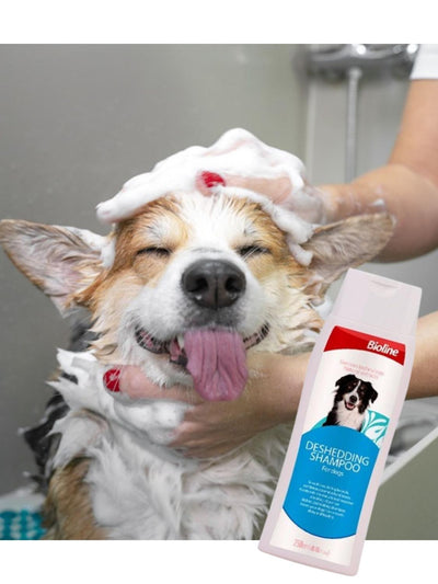 jpg_1500x1500_61711312