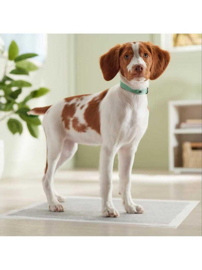 jpg_1500x1500_64810918