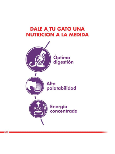 jpg_1500x1500_61811618