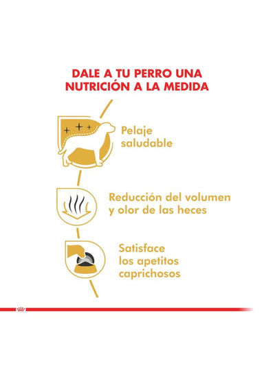 jpg_1500x1500_61775774