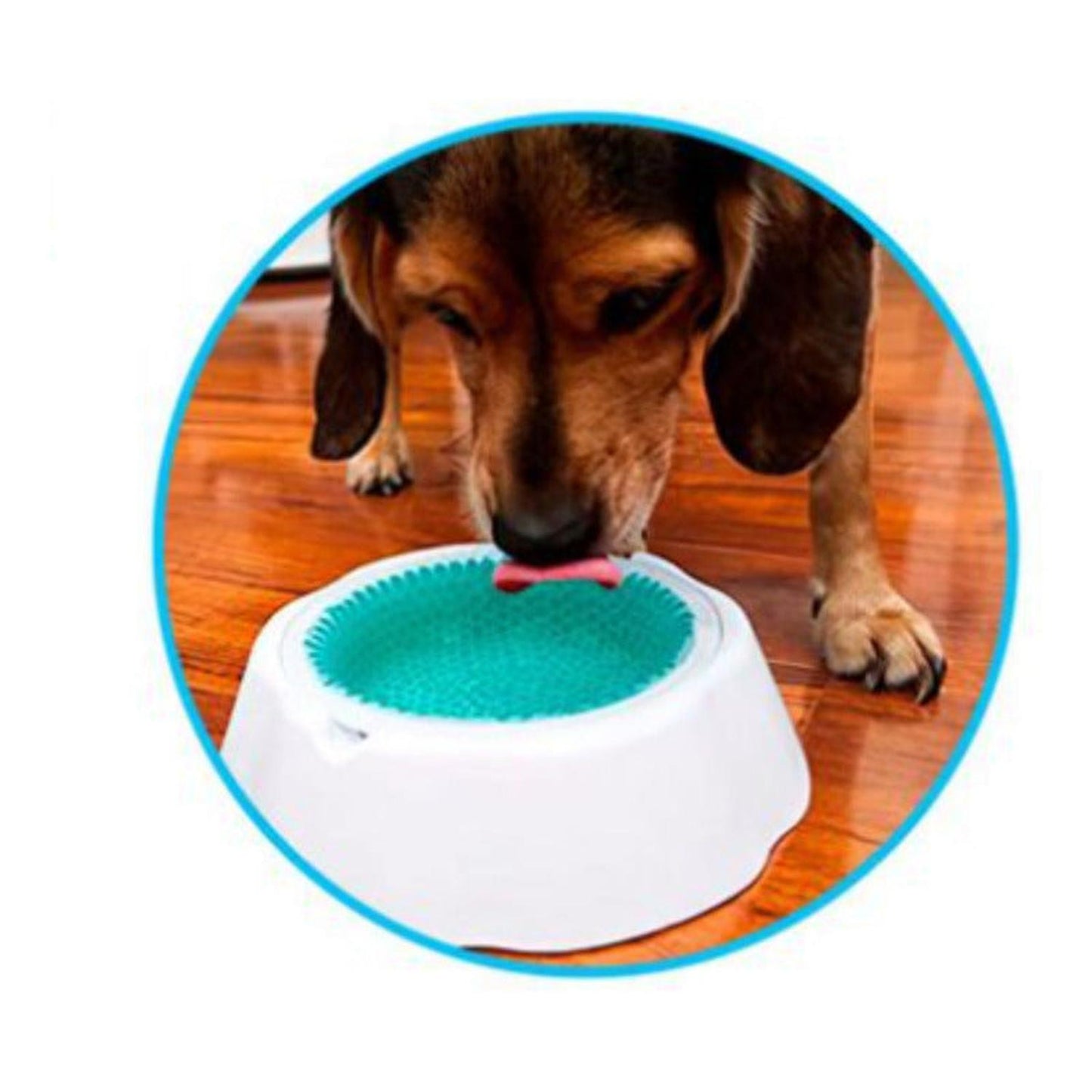 Plato Bebedero De Enfriamiento Para Mascotas 19 Cm