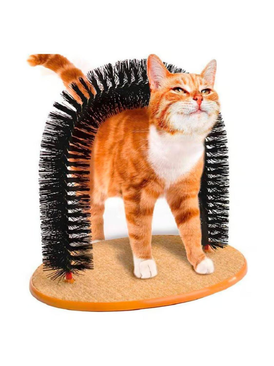 jpg_1500x1500_61591594