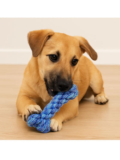 jpg_1500x1500_64811575