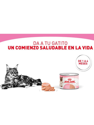 jpg_1500x1500_61597189