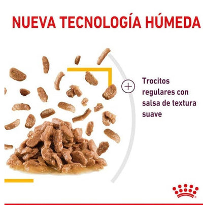 jpg_1500x1500_60267989