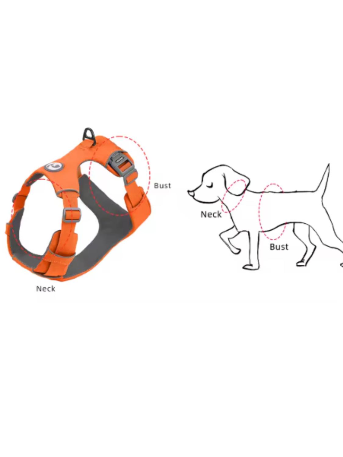 jpg_1500x1500_67366751