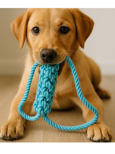 jpg_1500x1500_64812157