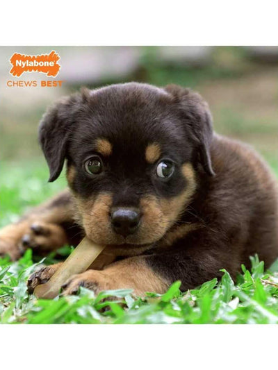 jpg_1500x1500_61731176