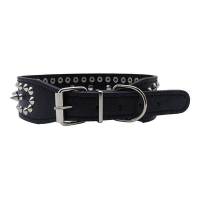 Collar Cuerina Con Púas Para Perros 58 Cm Reforzado Talla M