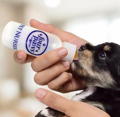 jpg_1500x1500_60267979