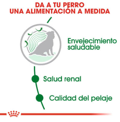 jpg_1500x1500_60267823