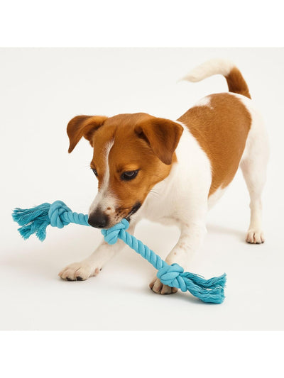 jpg_1500x1500_64966327