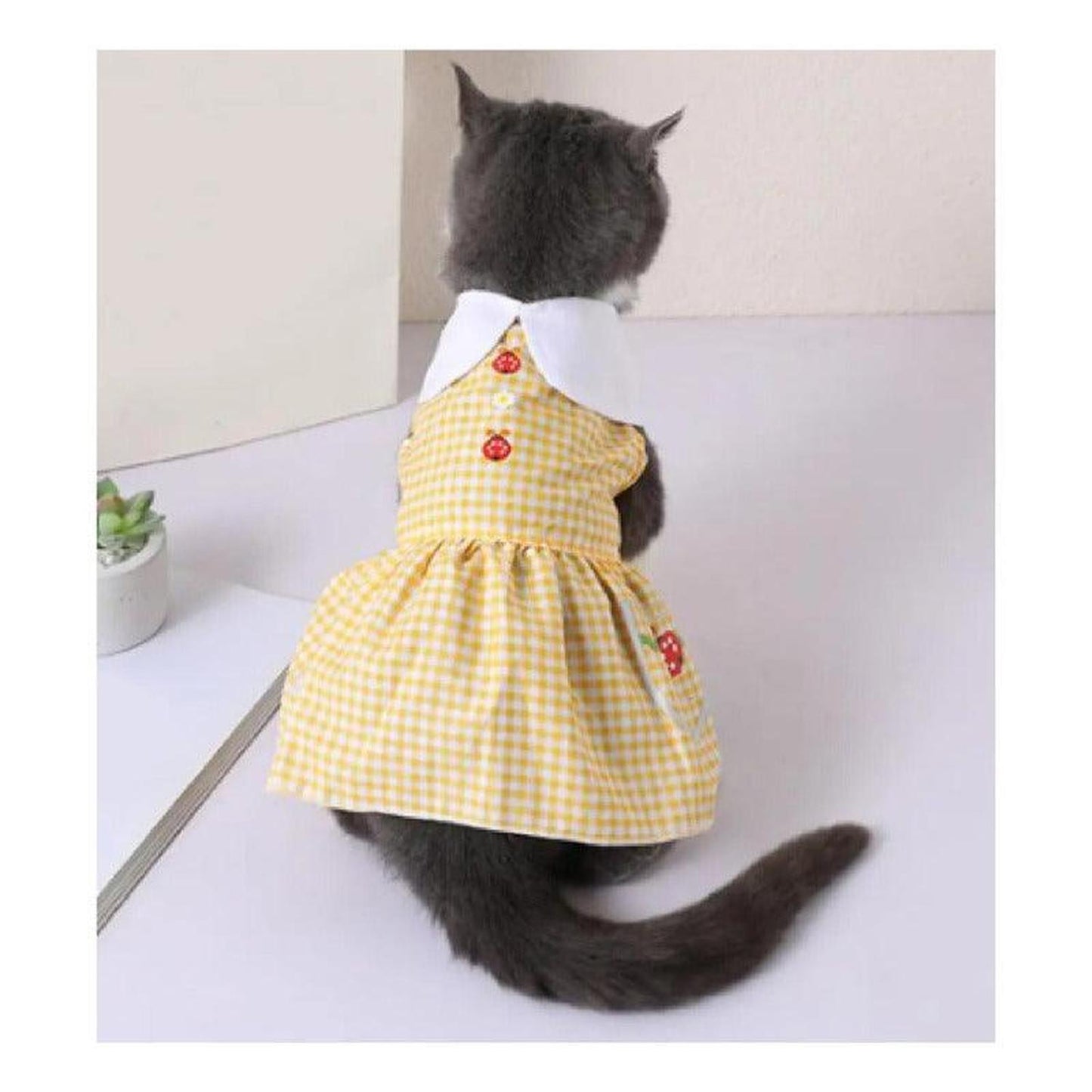 jpg_1500x1500_60276224