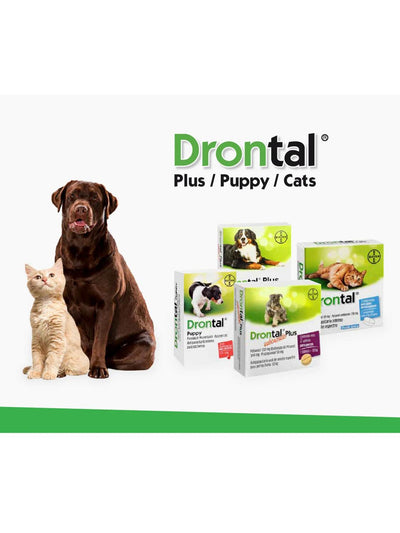 jpg_1500x1500_61995504