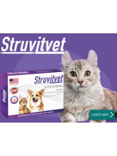 jpg_1500x1500_62184853