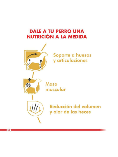 jpg_1500x1500_61811758