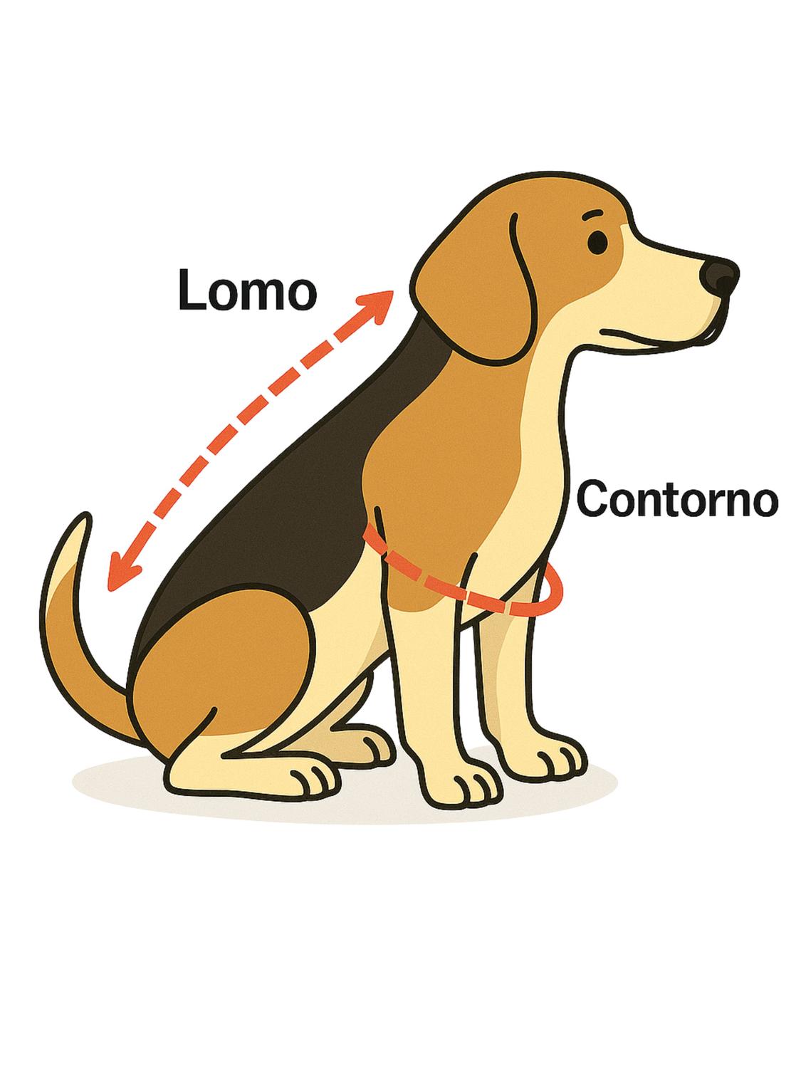 jpg_1500x1500_63788563