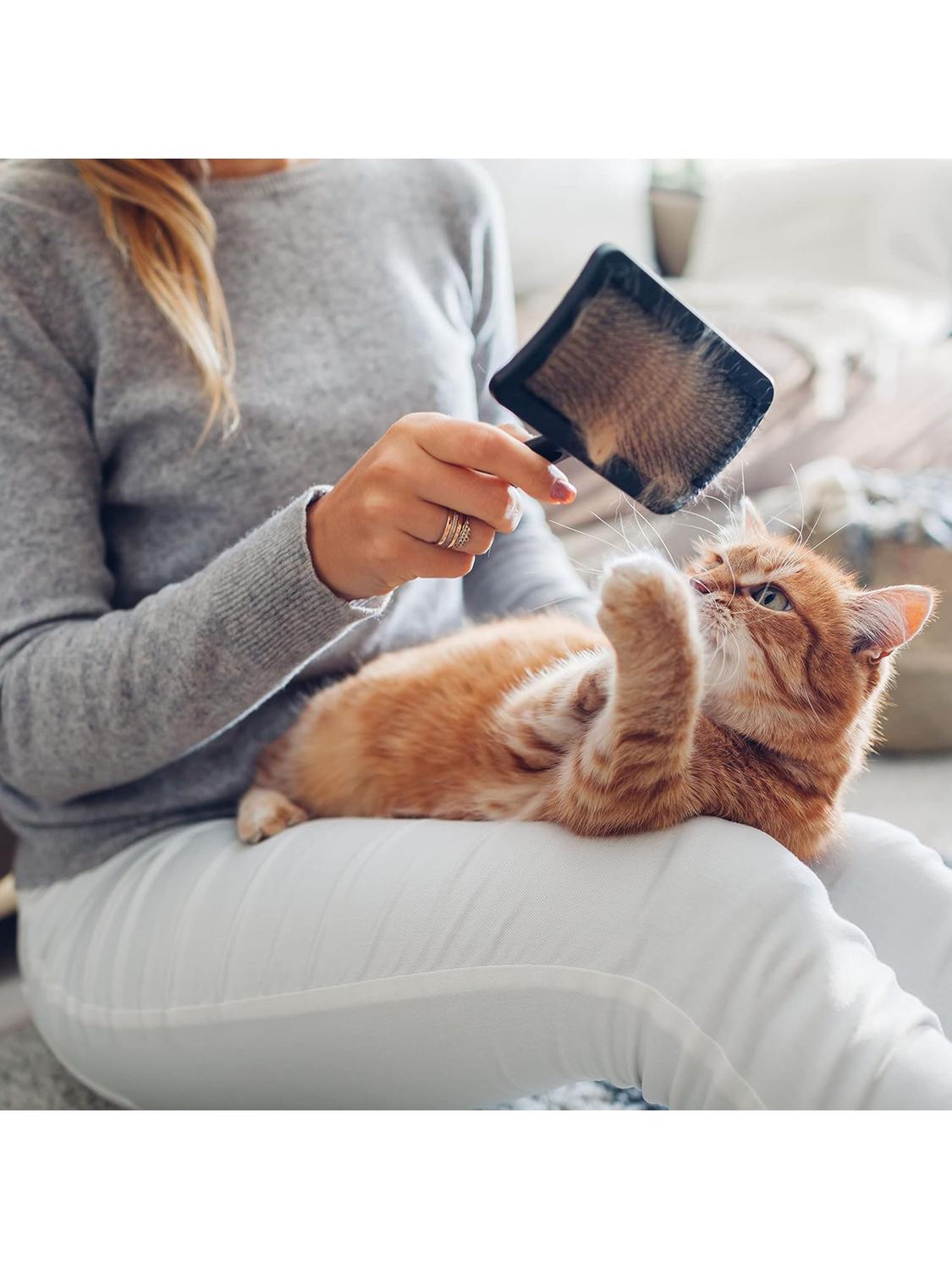 jpg_1500x1500_67182974