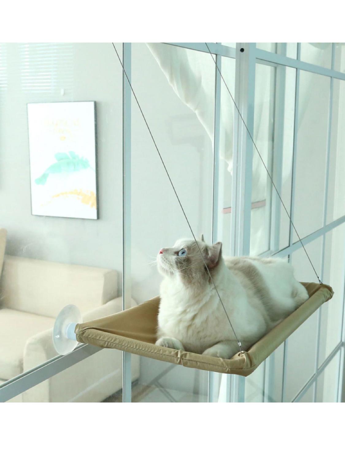 jpg_1500x1500_60911266