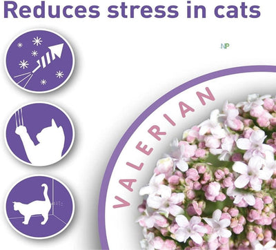 jpg_1500x1500_60270685