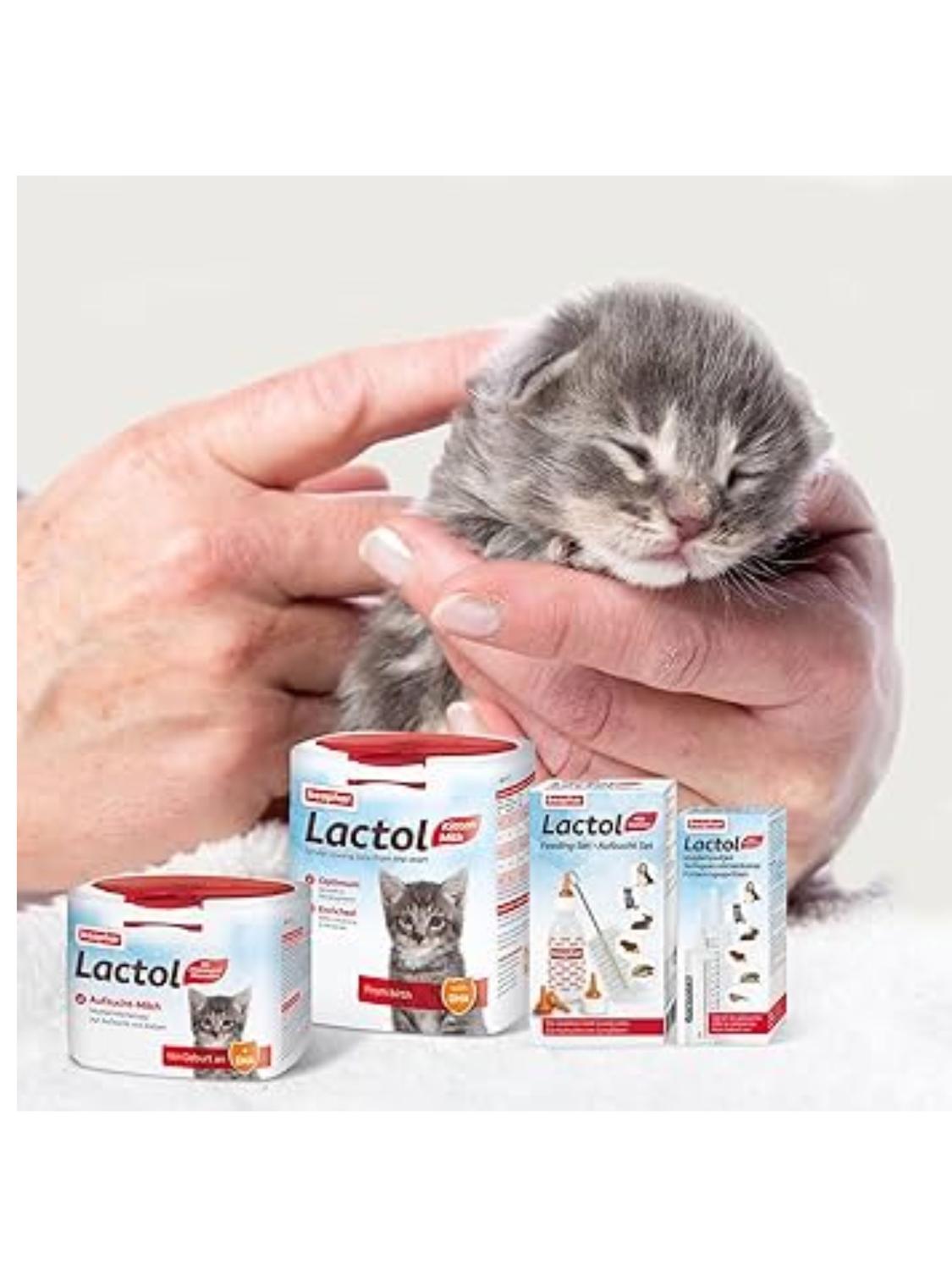 jpg_1500x1500_61598887