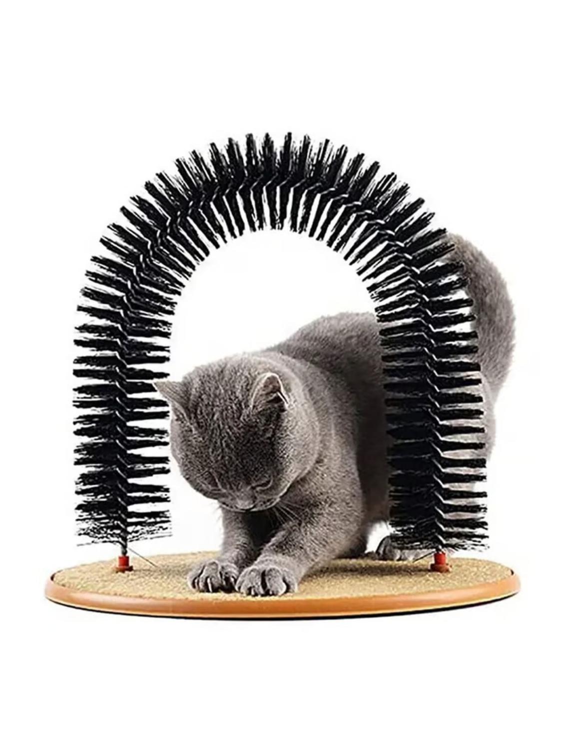 jpg_1500x1500_61591601