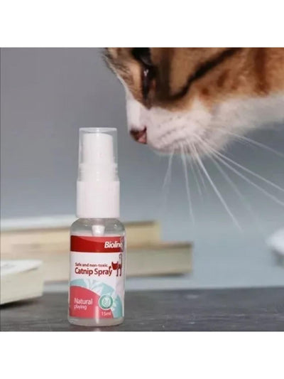 jpg_1500x1500_60911121