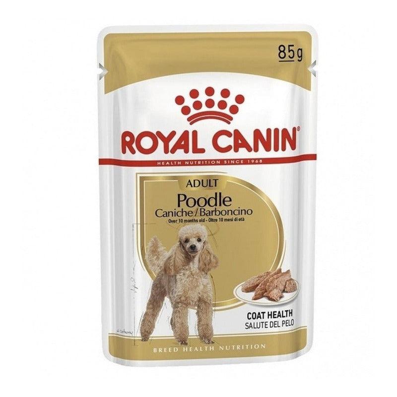 Alimento Royal Canin Caniche Adulto - Sobre de 85 g