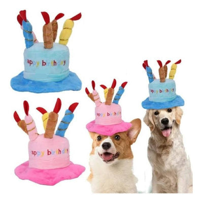 Sombrero Fiesta De Cumpleaños Para Mascotas / Perros