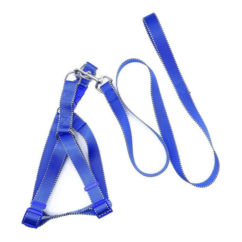 Correa De Paseo Con Arnés Para Perro Talla M Reforzada