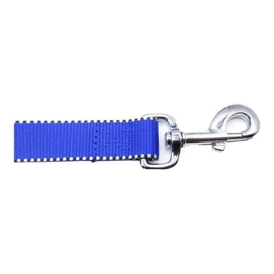 Correa De Paseo Con Arnés Para Perro Talla M Reforzada