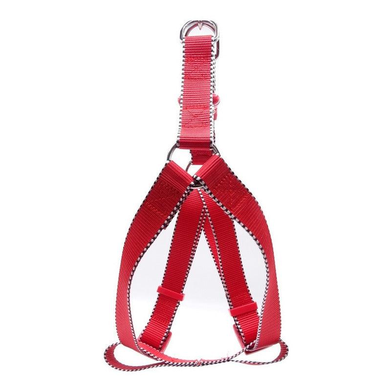 Correa De Paseo Con Arnés Para Perro Talla M Reforzada