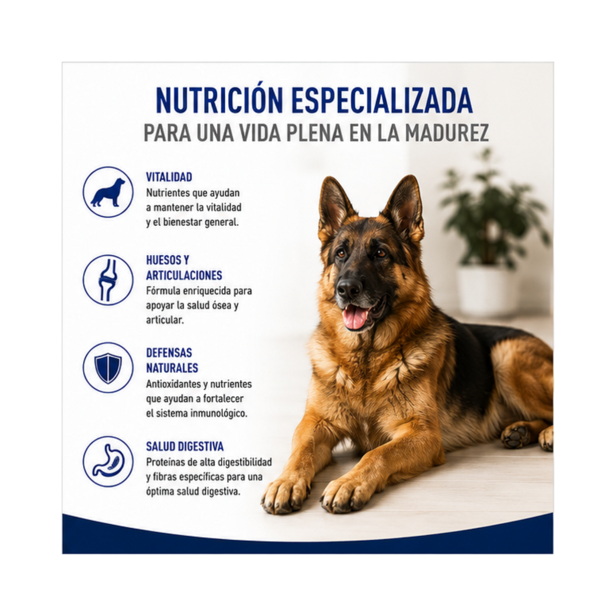 png_1500x1500_71236016