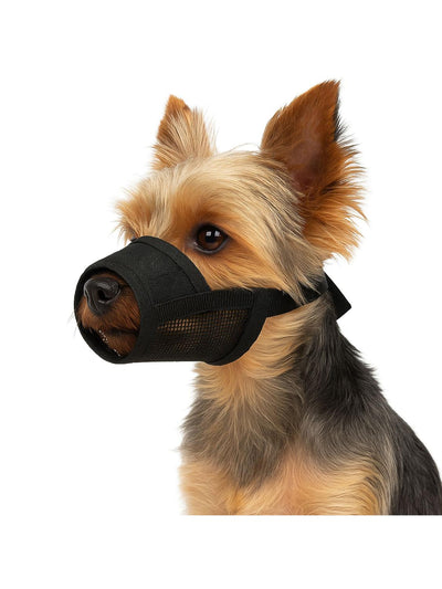 jpg_1500x1500_66903597