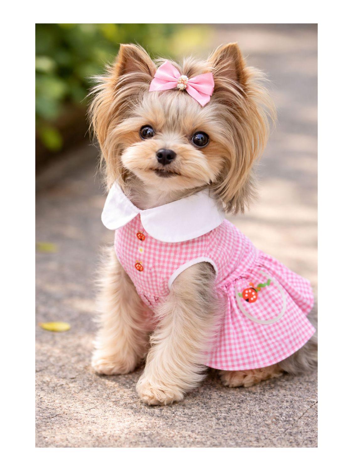 jpg_1500x1500_68775511